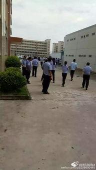 鹰潭虎岭村长爆料视频,揭秘乡村发展背后故事